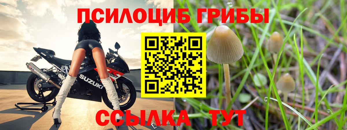 Галлюциногенные грибы Cubensis  Вход с VPN  Лянтор  Галлюциногенные грибы мухоморы 